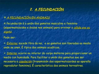 2.2. A FECUNDACIÓNA FECUNDACIÓN
 A FECUNDACIÓN EN ANIMAISA FECUNDACIÓN EN ANIMAIS
A fecundación é a unión dos gametos masculino e feminino
(espermatozoides e óvulos nos animais) para orixinar a célula ovo oucélula ovo ou
zigotozigoto.
Pode ser:
 Externa:Externa: sucede fóra da nai, e os gametos son liberados ao medio
onde se unen. É típica dos animais acuáticos.
 Interna:Interna: ocorre no interior do corpo materno para proporcionar un
medio con humidade. Para facilitar a unión dos gametos soe ser
necesaria a copulacióncopulación (transmisión dos espermatozoides ao aparello
reprodutor feminino). É característica dos animais terrestres.
 