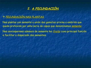 2.2. A FECUNDACIÓNA FECUNDACIÓN
 FECUNDACIÓN NAS PLANTASFECUNDACIÓN NAS PLANTAS
Nas plantas con semente a unión dos gametos orixina o embrión que
queda protexida por unha serie de capas que denominamos sementesemente.
Nas anxiospermas ademais de semente hai froitofroito cuxa principal función
e facilitar a dispersión das sementes.
 