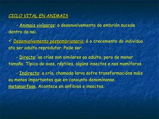 CICLO VITAL EN ANIMAISCICLO VITAL EN ANIMAIS
- Animais vivíparos: o desenvolvemento do embrión sucede
dentro da nai.
 Desenvolvemento postembrionario:Desenvolvemento postembrionario: é o crecemento do individuo
ata ser adulto reprodutor. Pode ser:
- Directo: as crías son similares ao adulto, pero de menor
tamaño. Típico de aves, réptiles, algúns insectos e nos mamíferos.
- Indirecto: a cría, chamada larva sofre transformacións máis
ou menos importantes que en conxunto denomínanse
metamorfose. Acontece en anfibios e insectos.
 