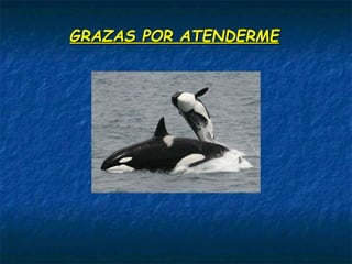 GRAZAS POR ATENDERMEGRAZAS POR ATENDERME
 