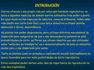 Outros ofrecen a súa propia vida por unha oportunidade reprodutiva: as
luras e algunhas especies de salmón morren exhaustos tras poñer a posta.
De igual modo moitas especies de insectos, como as efémeras, teñen unha
vida adulta moi curta (uns días) cuxo único obxectivo e atopar parella,
aparearse e deixar descendencia.
As plantas non poden desprazarse, pero utilizan distintos mecanismos de
dispersión para asegurarse de que a súa descendencia aumenta as súas
probabilidades de éxito: as flores que atraen insectos que son utilizados
como “vehículos de transporte” ou o desenvolvemento de pole ou sementes
aladas para a súa dispersión polo vento.
Tanto en plantas como en animales a reprodución sucede habitualmente na
época favorable para ter máis posibilidades de éxito reprodutivo.
Estos exemplos poden darnos unha idea da importancia da reprodución na
vida dos organismos.
INTRODUCIÓNINTRODUCIÓN
 