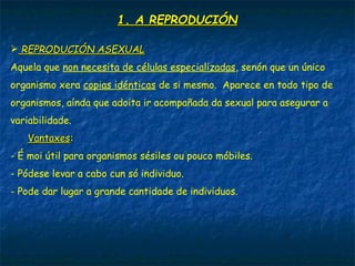 1. A REPRODUCIÓN1. A REPRODUCIÓN
 REPRODUCIÓN ASEXUALREPRODUCIÓN ASEXUAL
Aquela que non necesita de células especializadas, senón que un único
organismo xera copias idénticas de si mesmo. Aparece en todo tipo de
organismos, aínda que adoita ir acompañada da sexual para asegurar a
variabilidade.
VantaxesVantaxes:
- É moi útil para organismos sésiles ou pouco móbiles.
- Pódese levar a cabo cun só individuo.
- Pode dar lugar a grande cantidade de individuos.
 