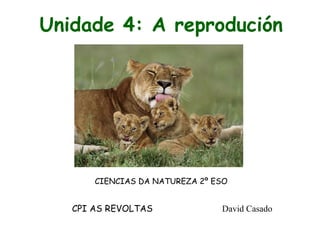 Unidade 4: A reprodución

CIENCIAS DA NATUREZA 2º ESO

CPI AS REVOLTAS

David Casado

 