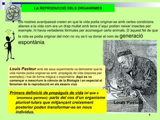 Louis Pasteur LA REPRODUCCIÓ DELS ORGANISMES ,[object Object],Louis Pasteur   amb els seus experiments va demostrar que la vida només podía originar-se amb  propàguls de vida (espores per exemples) i mai de forma màgica o espontània.  Aquí es va començar a reescriure la ciència de la Biologia i en especial el fenomen de la reproducció en els éssers vius Primera definició de propàguls de vida  (el que s´anomena germen):  parts del cos d’un organisme pluricel·lulars que mitjançant creixement posterior poden transformar-se en nous individus.  