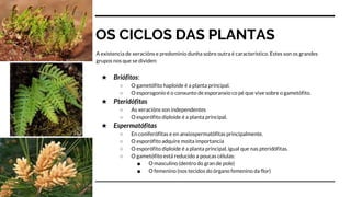 OS CICLOS DAS PLANTAS
A existencia de xeracións e predominio dunha sobre outra é característico. Estes son os grandes
grupos nos que se dividen:
★ Briófitos:
○ O gametófito haploide é a planta principal.
○ O esporogonio é o conxunto de esporanxio co pé que vive sobre o gametófito.
★ Pteridófitas
○ As xeracións son independentes
○ O esporófito diploide é a planta principal.
★ Espermatófitas
○ En coniferófitas e en anxiospermatófitas principalmente.
○ O esporófito adquire moita importancia
○ O esporófito diploide é a planta principal, igual que nas pteridófitas.
○ O gametófito está reducido a poucas células:
■ O masculino (dentro do gran de pole)
■ O femenino (nos tecidos do órgano femenino da flor)
 