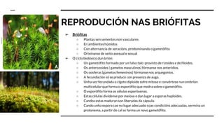 REPRODUCIÓN NAS BRIÓFITAS
➢ Briófitas
○ Plantas sen sementes non vasculares
○ En ambientes húmidos
○ Con alternancia de xeracións, predominando o gametófito
○ Orixínanse de xeito asexual e sexual
➢ O ciclo biolóxico dun brión:
○ Un gametófito formado por un falso talo provisto de rizoides e de filoides.
○ Os anterozoides ( gametos masculinos) fórmanse nos anteridios.
○ Os oosferas (gametos femeninos) fórmanse nos arquegonios.
○ A fecundación só se produce con presenza de auga.
○ Unha vez fecundada o cigoto diploide sofre mitose e convértese nun embrión
multicelular que forma o esporófito que medra sobre o gametófito.
○ O esporófito forma as células esporóxenas.
○ Estas células divídense por meiose e dan lugar a esporas haploides.
○ Candos estas maduran son liberadas da cápsula.
○ Cando unha espora cae no lugar adecuado coas condicións adecuadas, xermina un
protonema, a partir do cal se forma un novo gametófito.
 