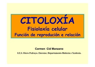 CITOLOXÍA
           Fisioloxía celular
Función de reprodución e relación


                  Carmen Cid Manzano
 I.E.S. Otero Pedrayo. Ourense. Departamento Bioloxía e Xeoloxía.
 