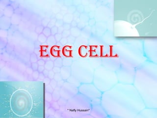 EGG CELL * Nafly Hussain* 