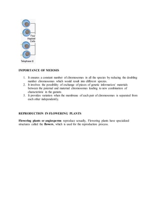 IMPORTANCE OF MEIOSIS
1. It ensures a constant number of chromosomes in all the species by reducing the doubling
number chromosomes which would result into different species.
2. It involves the possibility of exchange of pieces of genetic information/ materials
between the paternal and maternal chromosomes leading to new combination of
characteristic in the gamete.
3. It provides variation when the membrane of each pair of chromosomes is separated from
each other independently.
REPRODUCTION IN FLOWERING PLANTS
Flowering plants or angiosperms reproduce sexually, Flowering plants have specialized
structures called the flowers, which is used for the reproduction process.
 