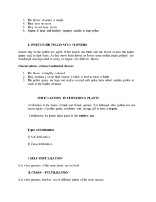 3. The flower structure is simple
4. They have no scent
5. They do not have nectar
6. Stigma is large and feathery hanging outside to trap pollen
2. INSECT/BIRD POLLINATED FLOWERS
Insects may be the pollination agent. When insects and birds visit the flower to feed, the pollen
grains stick to their body. As they move from flower to flower some pollen (stuck pollens) are
transferred and deposited or sticky on stigma of a different flower.
Characteristics of insect pollinated flowers
1. The flower is brightly coloured
2. They produce a sweet fluid (nectar ) which is food to most of birds
3. The pollen grains are large and sticky covered with spiky hairs which enables pollen to
stuck to the bodies of insect
FERTILIZATION IN FLOWERING PLANTS
Fertilization is the fusion of male and female gamete. It is followed after pollination one
sperm nuclei of pollen grains combines with an egg cell to form a zygote.
- Fertilization by plants takes place in the embryo sac.
Types of fertilization
1) Self fertilization
2) Cross fertilization
I. SELF FERTILIZATION
It is when gametes of the same plants are involved
II. CROSS – FERTILIZATION
It is when gametes involves are of different plants of the same species.
 