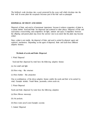The fertilized ovule develops into a seed, protected by the ovary wall which develops into the
fruit wall. In some plant the receptacle becomes part of the fruit such as pineapple
DISPERSAL OF FRUIT AND SEEDS
Dispersal of fruits and seed is of paramount importance because it reduces congestion of plant in
a certain habitat. Seed and fruits are dispersed and scattered to other places. Dispersal of fruit and
seed reduce overcrowding and competition for light, nutrient and space. Competition between
the offspring and parent plant may lower the survival rate to an extent that the plant may become
extinct
Since a plant is not motile, the dispersal of fruits and seed is carried by physical agent and
explosive mechanism. Depending on the agent of dispersal, fruits and seeds have different
adaptive features.
Methods of seeds and Fruits Dispersal
1. Wind Dispersal
Seed and fruit dispersed by wind have the following adaptive feature:
(a) Are small and light
(b) Have wing – like structure
(c) Have feather – like projection
One or combinations of the above adaptive feature enable the seeds and fruit to be carried by
wind. Example include: Nandi flame, jacaranda, cotton seeds etc.
2. Water Dispersal
Seeds and fruits dispersed by water have the following adaption:
(a) Have fibrous mesocarp.
(b) Air pockets.
(b) Have water proof coats Example coconut.
3. Animal Dispersal
 