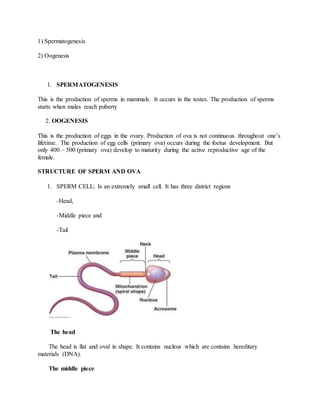 1) Spermatogenesis
2) Oogenesis
1. SPERMATOGENESIS
This is the production of sperms in mammals. It occurs in the testes. The production of sperms
starts when males reach puberty
2. OOGENESIS
This is the production of eggs in the ovary. Production of ova is not continuous throughout one’s
lifetime. The production of egg cells (primary ova) occurs during the foetus development. But
only 400 – 500 (primary ova) develop to maturity during the active reproductive age of the
female.
STRUCTURE OF SPERM AND OVA
1. SPERM CELL: Is an extremely small cell. It has three district regions
-Head,
-Middle piece and
-Tail
The head
The head is flat and oval in shape. It contains nucleus which are contains hereditary
materials (DNA).
The middle piece
 