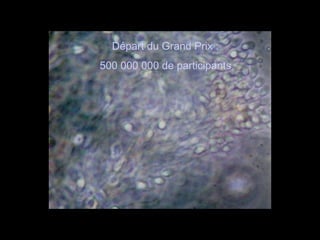 Départ du Grand Prix : 500 000 000 de participants   