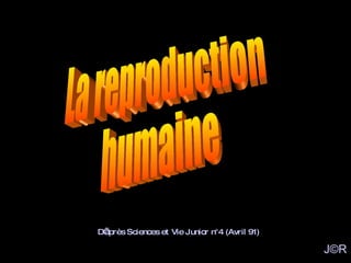 La reproduction humaine D’après Sciences et Vie Junior n°4 (Avril 91) J©R 