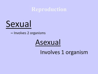 Reproduction 