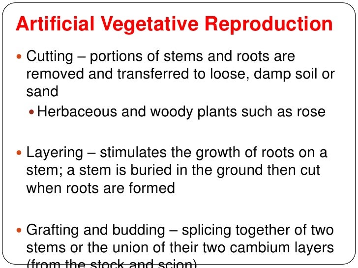Reproduction 101110032348phpapp02