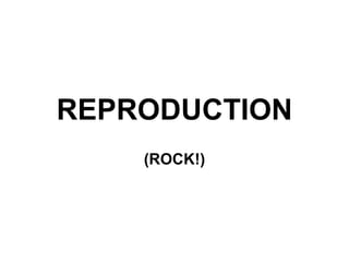 REPRODUCTION (ROCK!) 