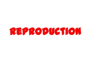 reproduction
 