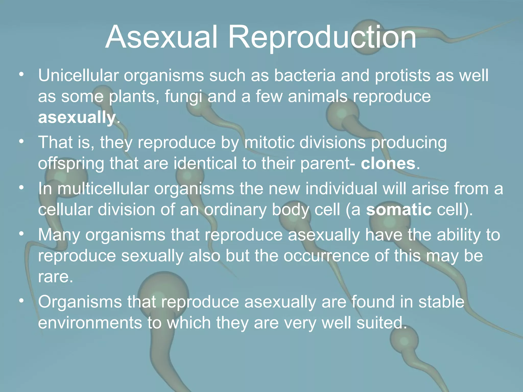 Reproduction | PPT