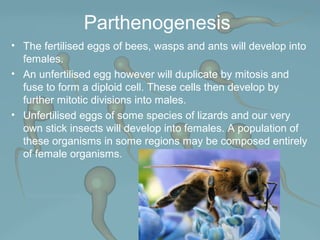 Reproduction | PPT