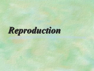 Reproduction
 