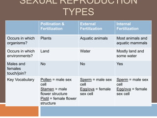 SEXUAL REPRODUCTION
              TYPES
                  Pollination &            External           Internal
                  Fertilization            Fertilization      Fertilization

Occurs in which   Plants                   Aquatic animals    Most animals and
organisms?                                                    aquatic mammals

Occurs in which   Land                     Water              Mostly land and
environments?                                                 some water

Males and         No                       No                 Yes
females
touch/join?
Key Vocabulary    Pollen = male sex        Sperm = male sex   Sperm = male sex
                  cell                     cell               cell
                  Stamen = male            Egg/ova = female   Egg/ova = female
                  flower structure         sex cell           sex cell
                  Pistil = female flower
                  structure
 