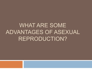 WHAT ARE SOME
ADVANTAGES OF ASEXUAL
   REPRODUCTION?
 