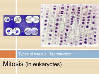 Types of Asexual Reproduction:

Mitosis (in eukaryotes)
 