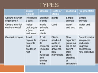 TYPES
                  Binary       Mitosis     Roots or      Budding      Fragmentatio
                  Fission                  Stems                      n
Occurs in which   Prokaryoti   Eukaryot plants           Simple       Simple
organisms?        c cells      ic cells                  animals      animals
Occurs in which   Inside       inside      Land          Water        Water and
environments?     prokaryote   animals                   and land     land
                  s (land      and
                  and water)   plants
General process   A cell       A cell      Plants        New          Parent breaks
                  copies its   copies      send out      organism     into pieces
                  contents     its         roots or      grows on     and each
                  and          contents    stems to      top of the   fragment
                  divides in   (includin   grow into     parent       becomes a
                  half         g           new           then         new individual
                               nucleus)    individuals   stays
                               and                       attached
                               divides                   or
                               in half                   separates
 