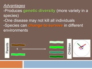 Advantages
-Produces genetic diversity (more variety in a
species)
-One disease may not kill all individuals
-Species can change to survive in different
environments
 Parents




                                   Children
           x
 