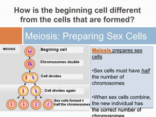 How is the beginning cell different
 from the cells that are formed?

   Meiosis: Preparing Sex Cells
                     Meiosis prepares sex
                     cells

                     •Sex cells must have half
                     the number of
                     chromosomes

                     •When sex cells combine,
                     the new individual has
                     the correct number of
 