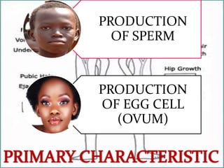 PRODUCTION
OF SPERM

PRODUCTION
OF EGG CELL
(OVUM)

 