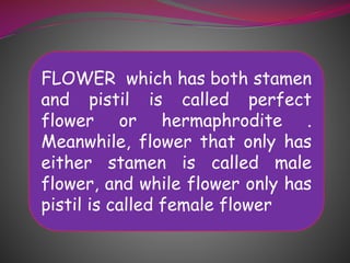 FLOWER which has both stamen
and pistil is called perfect
flower or hermaphrodite .
Meanwhile, flower that only has
either stamen is called male
flower, and while flower only has
pistil is called female flower

 