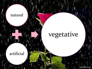 natural

vegetative
artificial

 