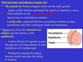 Reproduction | PPT