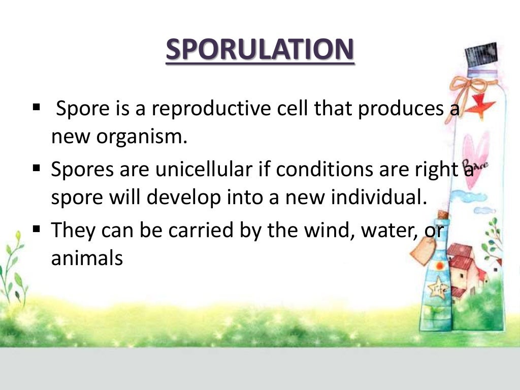 Reproduction Synonym