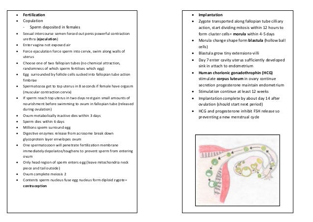 Which Hormone Maintains The Viability Of The Corpus Luteum? Reproduction