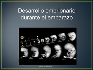Desarrollo embrionario
durante el embarazo
Autora: Marta García T.
 