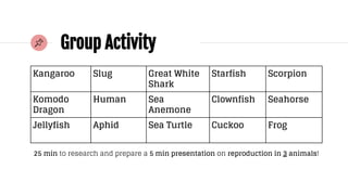 Group Activity
Kangaroo Slug Great White
Shark
Starfish Scorpion
Komodo
Dragon
Human Sea
Anemone
Clownfish Seahorse
Jellyfish Aphid Sea Turtle Cuckoo Frog
25 min to research and prepare a 5 min presentation on reproduction in 3 animals!
 