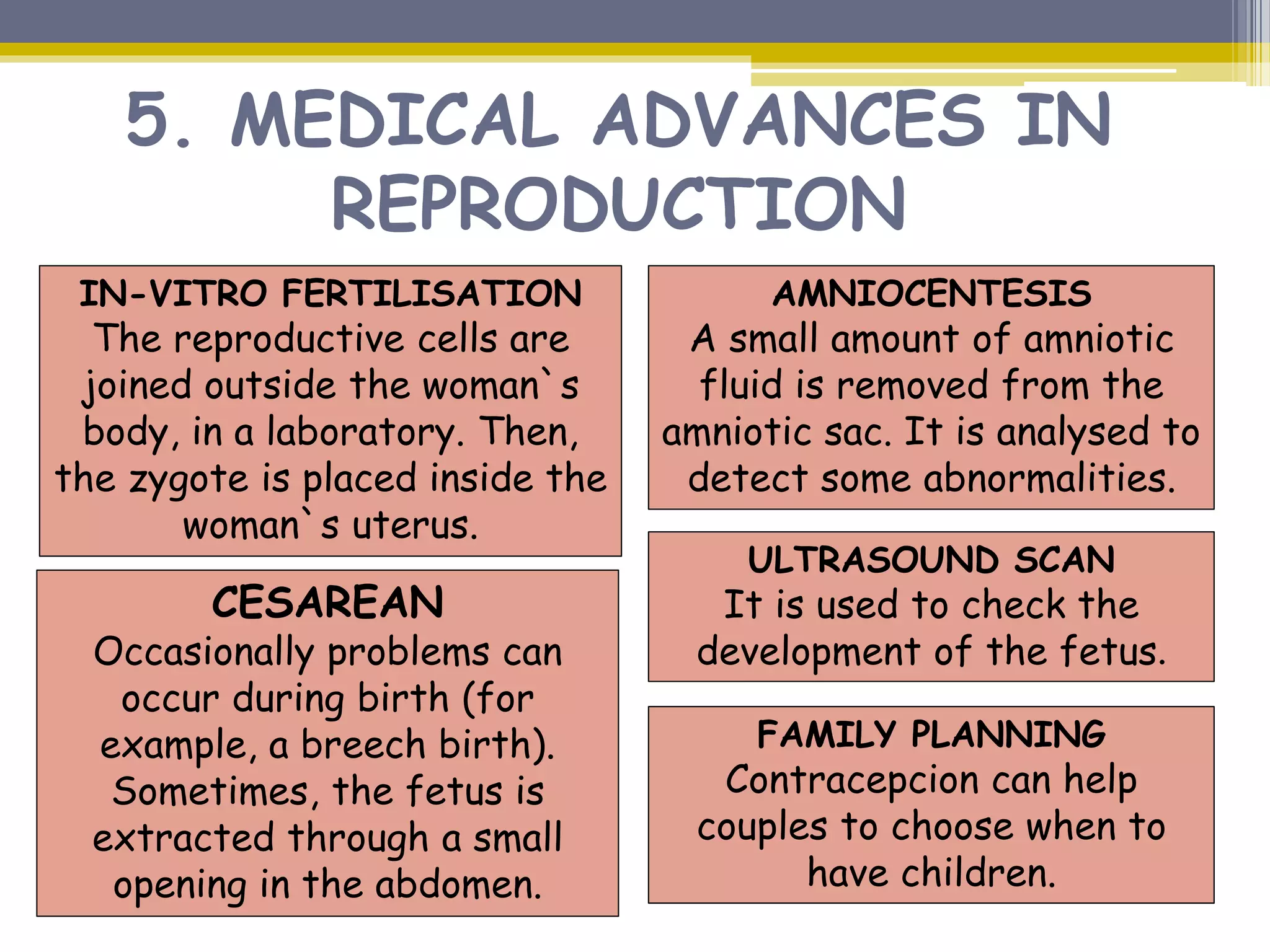 Reproduction | PPT | Free Download