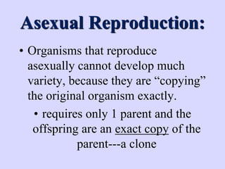 Asexual Reproduction:
• Organisms that reproduce
asexually cannot develop much
variety, because they are “copying”
the original organism exactly.
• requires only 1 parent and the
offspring are an exact copy of the
parent---a clone
 