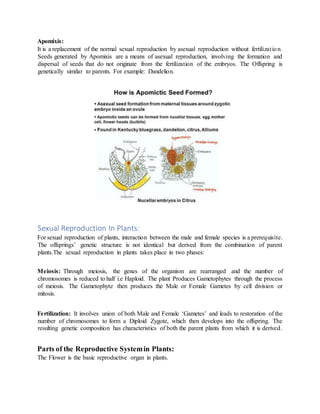 Reproduction | DOCX