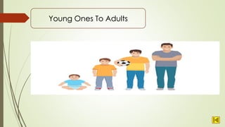 Young Ones To Adults
 