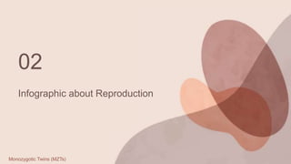 02
Infographic about Reproduction
Monozygotic Twins (MZTs)
 