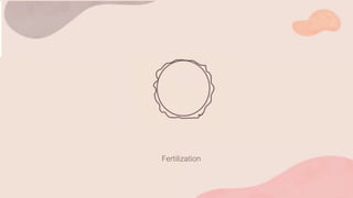 Fertilization
 