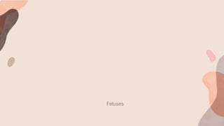 Fetuses
 