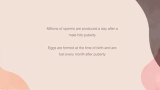 Millions of sperms are produced a day after a
male hits puberty
Eggs are formed at the time of birth and are
lost every month after puberty
 