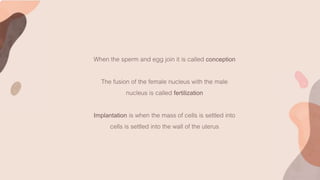 When the sperm and egg join it is called conception
The fusion of the female nucleus with the male
nucleus is called fertilization
Implantation is when the mass of cells is settled into
cells is settled into the wall of the uterus
 