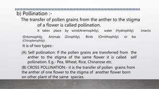 b) Pollination :-
The transfer of pollen grains from the anther to the stigma
of a flower is called pollination.
It takes place by wind(Anemophily), water (Hydrophily) insects
(Zoophily), Birds (Ornithophily) or Bat
(Entomophily, Animals
(Chiropterophily).
It is of two types:-
(A) Self pollination: If the pollen grains are transferred from the
anther to the stigma of the same flower it is called self
pollination. E.g.- Pea, Wheat, Rice, Chinarose etc.
(B) CROSS POLLINATION:- it is the transfer of pollen grains from
the anther of one flower to the stigma of another flower born
on other plant of the same species.
 