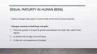 SEXUAL MATURITY IN HUMAN BEING
• Various changes takes place in human body at the time of sexual maturity:-
• Changes common in both boys and girls:-
1) Thick hair growth in armpits & genital area between the thigh (also called Pubic
region).
2) 2) Thinner hair on legs, arms and faces.
3) 3) Oily skin and appearance of pimples
 